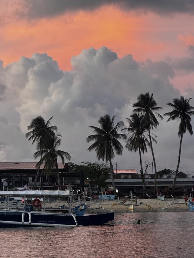 Boten op het water bij roze schemering, palmbomen aan de kust